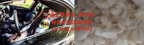 PSILOCYBIN Аркадак