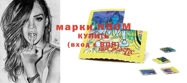 стаф Арсеньев