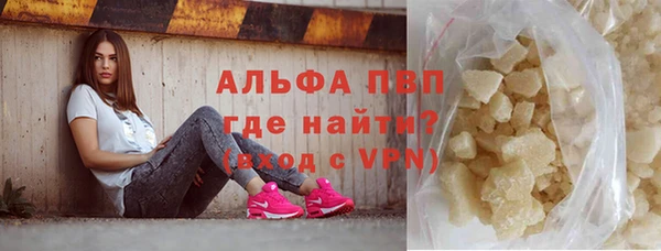 стаф Арсеньев