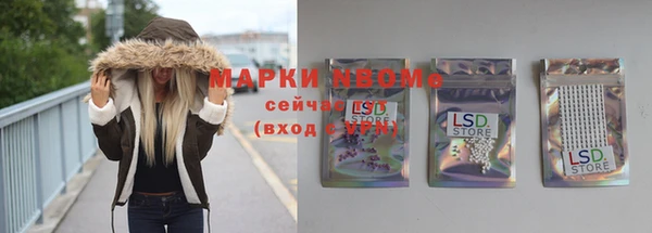 стаф Арсеньев