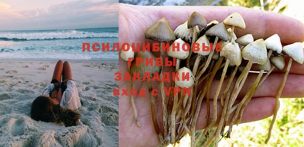 PSILOCYBIN Аркадак