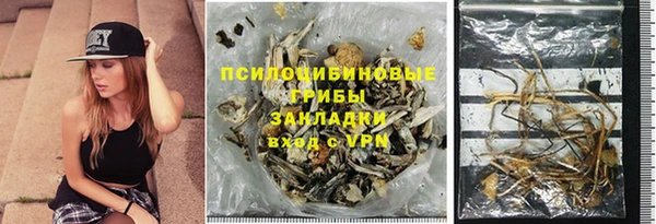 PSILOCYBIN Аркадак