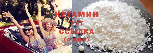 стаф Арсеньев