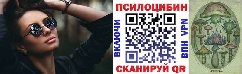 МЕГА онион  Заречный  Псилоцибиновые грибы Cubensis  купить наркотик 